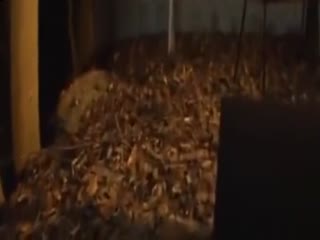 Sultry Shou Nishino gets screw